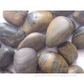 Polished Natural Tiger Eyes River Rocks Stone